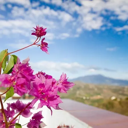 Rooftop Terrace & Panoramic Mountain View's